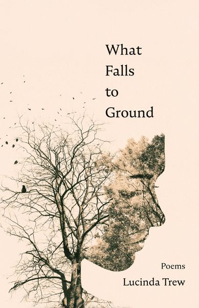 Produktbild: What Falls to Ground