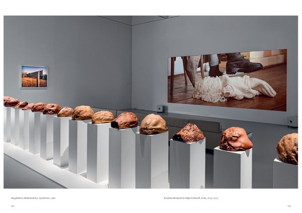 Produktbild: Magdalena Abakanowicz. Human Nature