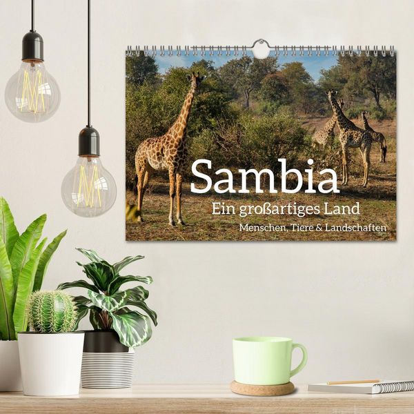 Produktbild: Sambia - ein gro&szlig;artiges Land (Wandkalender 2026 DIN A4 quer), CALVENDO Monatskalender