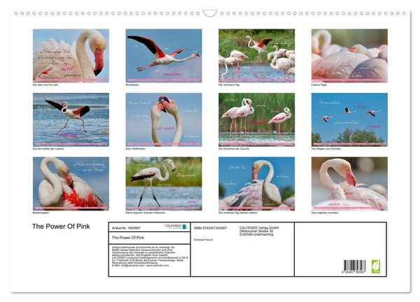 Produktbild: The Power Of Pink (Wandkalender 2026 DIN A2 quer), CALVENDO Monatskalender