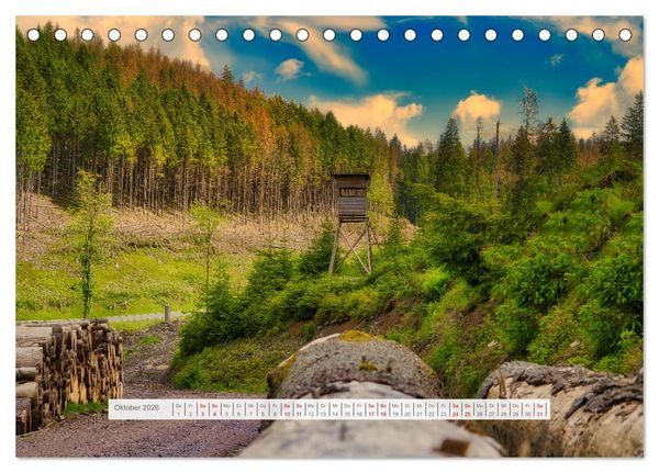 Produktbild: Die Vielfalt des Th&uuml;ringer Waldes (Tischkalender 2026 DIN A5 quer), CALVENDO Monatskalender