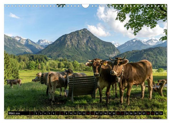 Produktbild: das Allg&auml;u (Wandkalender 2026 DIN A3 quer), CALVENDO Monatskalender