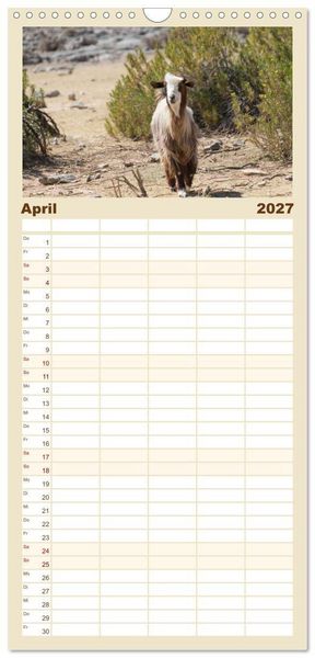 Produktbild: Familienplaner 2027 - Faszinierender Oman mit 5 Spalten (Wandkalender, 21 x 45 cm) CALVENDO