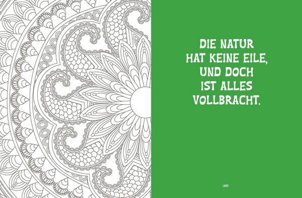 Produktbild: Colorful Mandala &ndash;&nbsp;Energie aus der Natur