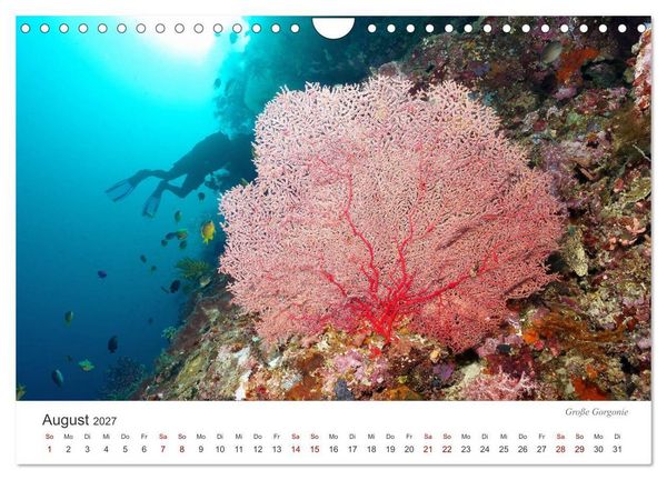 Produktbild: Unterwasser - eine bunte Welt (Wandkalender 2027 DIN A4 quer), CALVENDO Monatskalender