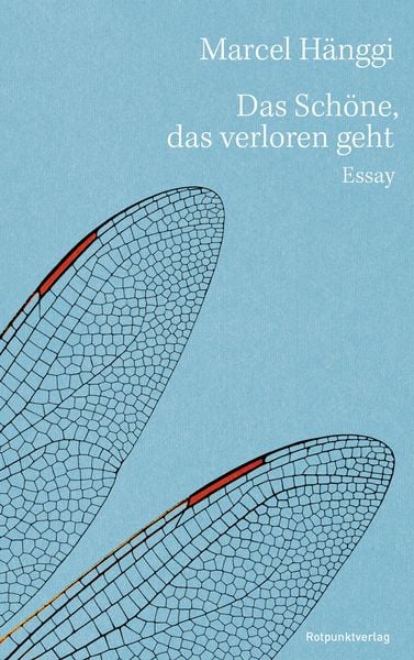 Produktbild: Das Sch&ouml;ne, das verloren geht