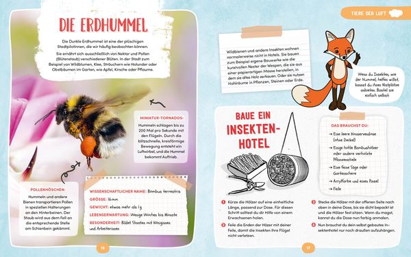 Produktbild: Wilde Tiere in der Stadt &ndash; Das Natur-Mitmachbuch