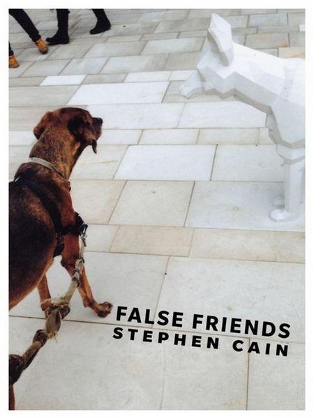 Produktbild: False Friends