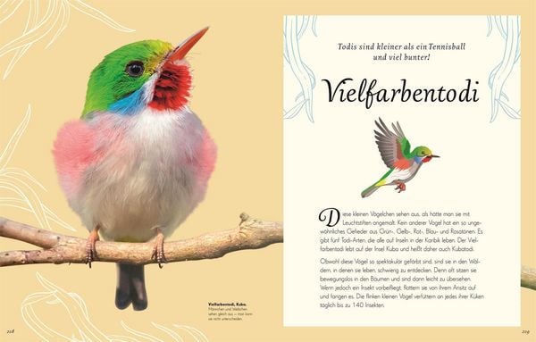 Produktbild: Wundervolle Welt der V&ouml;gel