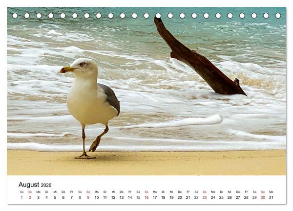Produktbild: Wandern auf Menorca (Tischkalender 2026 DIN A5 quer), CALVENDO Monatskalender