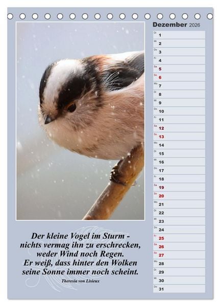 Produktbild: Schwanzmeisen, die niedlichen kleinen Pfannenstielchen (Tischkalender 2026 DIN A5 hoch), CALVENDO Monatskalender