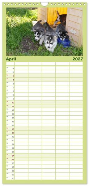 Produktbild: Familienplaner 2027 - Husky Welpen mit 5 Spalten (Wandkalender, 21 x 45 cm) CALVENDO