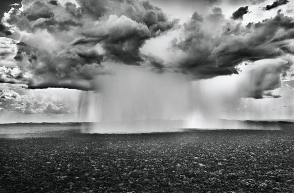 Produktbild: Amaz&ocirc;nia. Sebasti&atilde;o Salgado