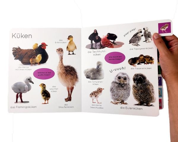 Produktbild: Erstes Lernen. Tierkinder