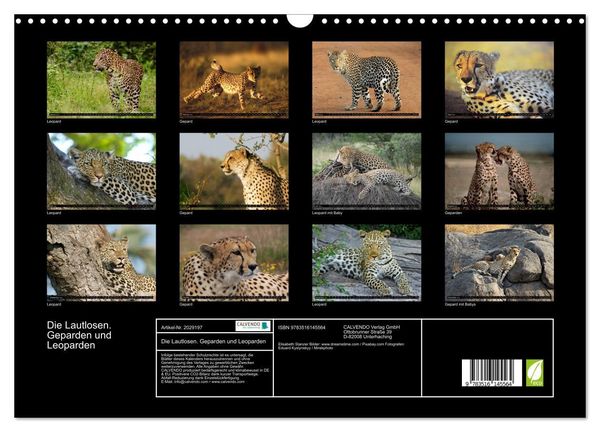 Produktbild: Die Lautlosen. Geparden und Leoparden (Wandkalender 2026 DIN A3 quer), CALVENDO Monatskalender