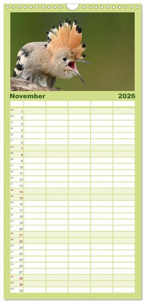 Produktbild: Familienplaner 2026 - Der Wiedehopf mit 5 Spalten (Wandkalender, 21 x 45 cm) CALVENDO