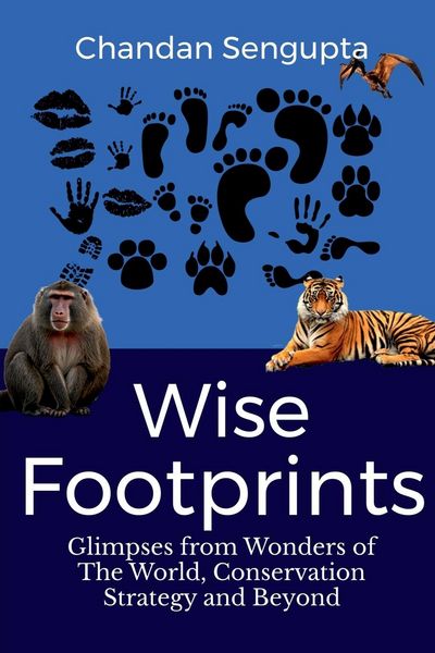 Produktbild: Wise Footprints