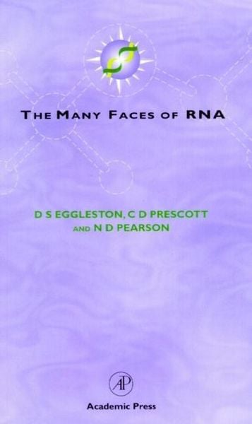 Produktbild: The Many Faces of RNA