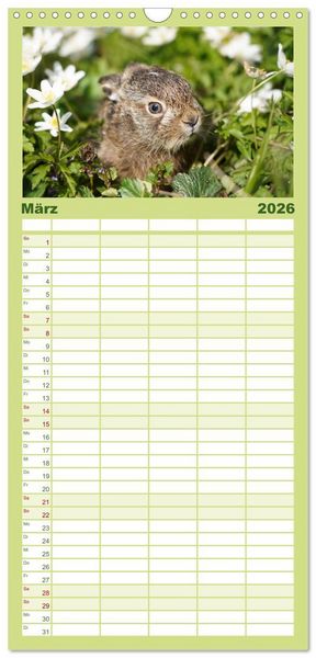 Produktbild: Familienplaner 2026 - Feldhasen unterwegs in Wald und Flur mit 5 Spalten (Wandkalender, 21 x 45 cm) CALVENDO