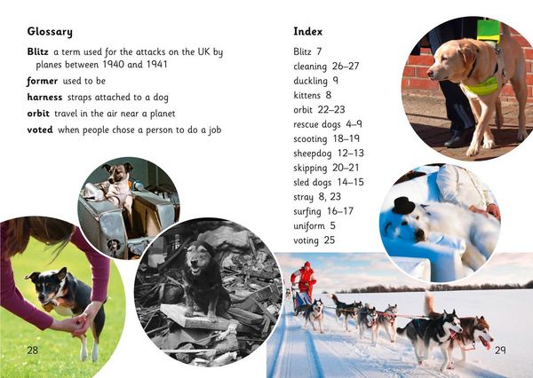 Produktbild: Super Dogs