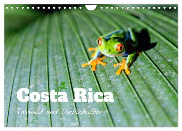 Produktbild: Costa Rica - Tierwelt und Landschaften (Wandkalender 2026 DIN A4 quer), CALVENDO Monatskalender