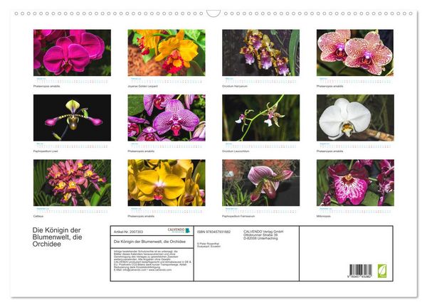 Produktbild: Die K&ouml;nigin der Blumenwelt, die Orchidee (Wandkalender 2026 DIN A2 quer), CALVENDO Monatskalender