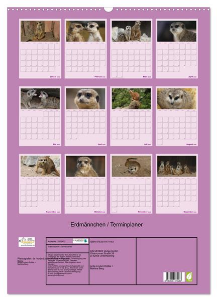 Produktbild: Erdm&auml;nnchen / Terminplaner (Wandkalender 2026 DIN A2 hoch), CALVENDO Monatskalender