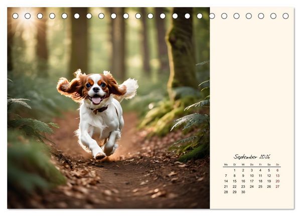 Produktbild: Goldige Kavalier King Charles Spaniels (Tischkalender 2026 DIN A5 quer), CALVENDO Monatskalender