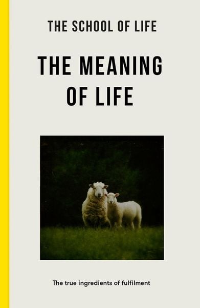 Produktbild: The Meaning of Life