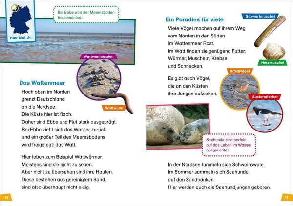 Produktbild: WAS IST WAS Erstes Lesen Band 21. Deutschland