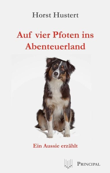 Produktbild: Auf vier Pfoten ins Abenteuerland