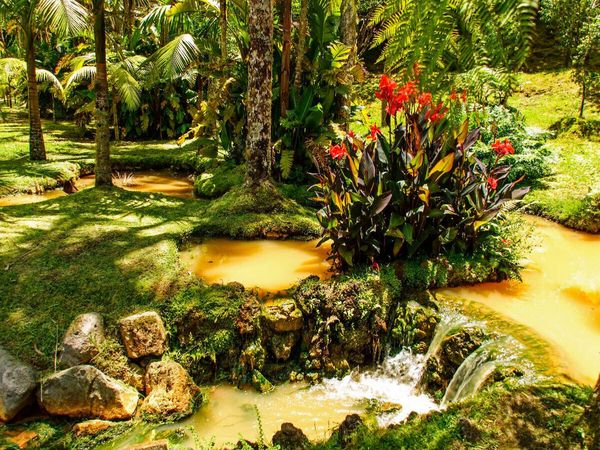 Produktbild: CALVENDO Puzzle Parque Terra Nostra | 1000 Teile Lege-Gr&ouml;&szlig;e 64x48cm Foto-Puzzle f&uuml;r gl&uuml;ckliche Stunden