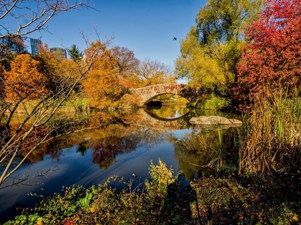 Produktbild: CALVENDO Puzzle Central Park | 1000 Teile Lege-Gr&ouml;&szlig;e 64 &times; 48 cm Foto-Puzzle f&uuml;r gl&uuml;ckliche Stunden