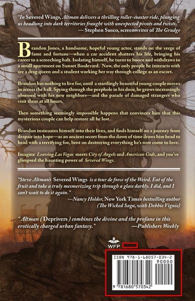 Produktbild: Severed Wings