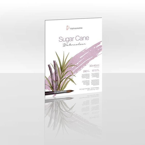 Produktbild: Hahnem&uuml;hle Sugar Cane Aquarellpapier, 30 x 40 cm, 290 g/m&sup2;, 12 Blatt