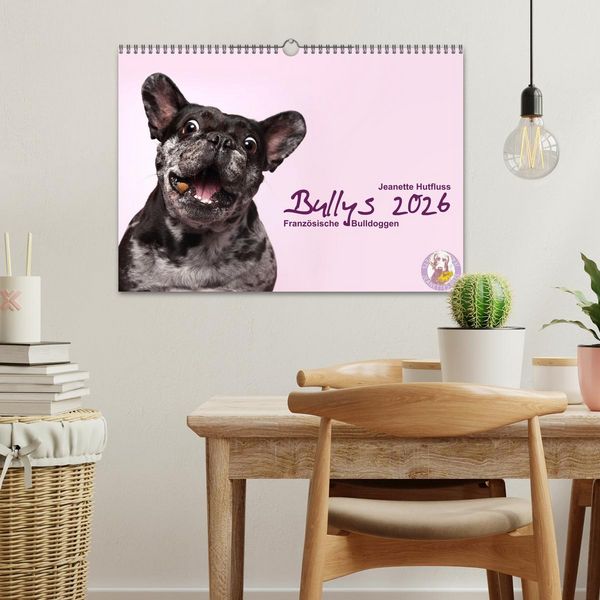 Produktbild: Bullys - Franz&ouml;sische Bulldoggen 2026 (Wandkalender 2026 DIN A3 quer), CALVENDO Monatskalender