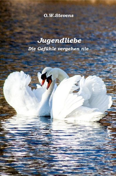 Produktbild: Begegnungen / Jugendliebe