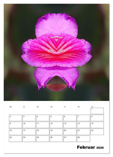 Produktbild: Fotokunst und Natur 2026 (Wandkalender 2026 DIN A4 hoch), CALVENDO Monatskalender