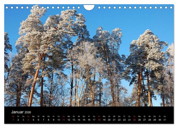 Produktbild: Jahreszeiten / 2026 (Wandkalender 2026 DIN A4 quer), CALVENDO Monatskalender