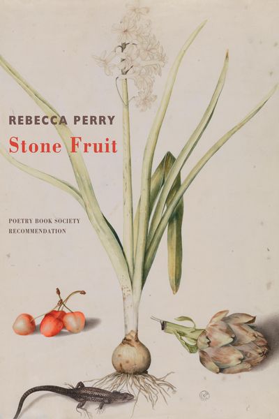 Produktbild: Stone Fruit