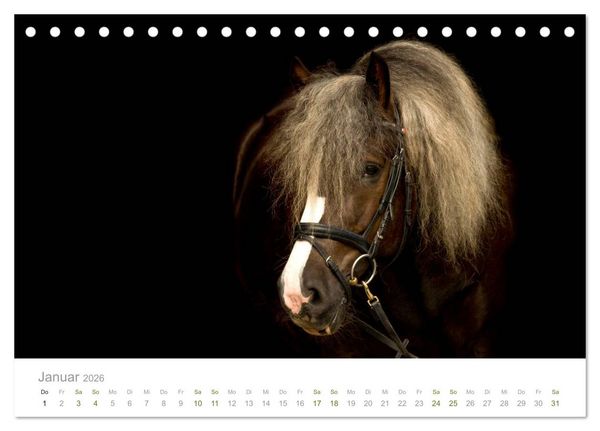 Produktbild: Faszination und Vielfalt - Schwarzw&auml;lder Kaltblut (Tischkalender 2026 DIN A5 quer), CALVENDO Monatskalender