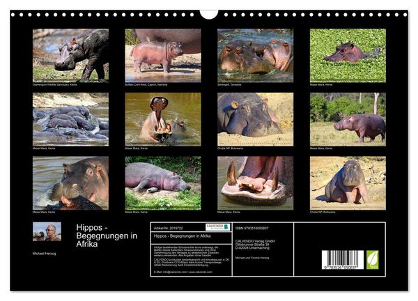 Produktbild: Hippos - Begegnungen in Afrika (Wandkalender 2026 DIN A3 quer), CALVENDO Monatskalender