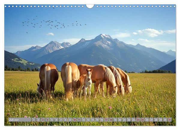 Produktbild: Alpent&auml;ler und Haflinger Pferde (Wandkalender 2027 DIN A3 quer), CALVENDO Monatskalender