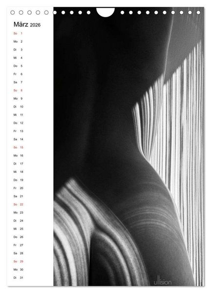Produktbild: Akt abstrakt (Wandkalender 2026 DIN A4 hoch), CALVENDO Monatskalender