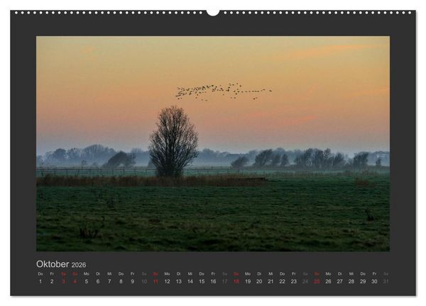 Produktbild: Impressionen aus St. Peter-Ording (Wandkalender 2026 DIN A2 quer), CALVENDO Monatskalender