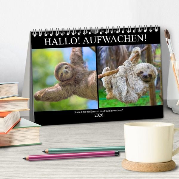 Produktbild: Hallo! Aufwachen! Kann bitte mal jemand das Faultier wecken? (Tischkalender 2026 DIN A5 quer), CALVENDO Monatskalender