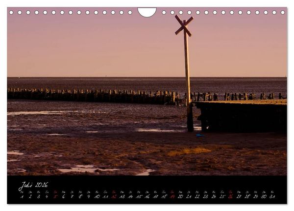 Produktbild: Friedrichskoog Buhnen und Salzwiesen (Wandkalender 2026 DIN A4 quer), CALVENDO Monatskalender
