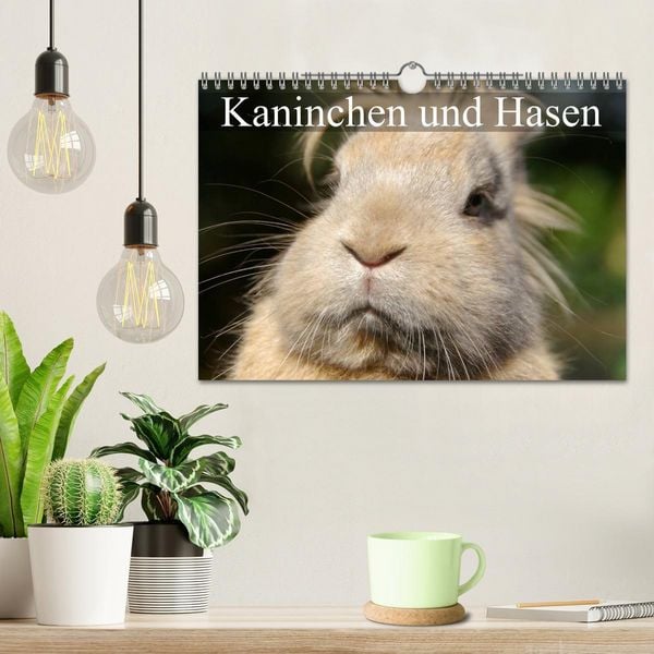Produktbild: Kaninchen und Hasen (Wandkalender 2026 DIN A4 quer), CALVENDO Monatskalender