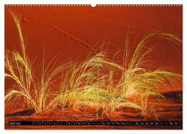 Produktbild: Namib Naukluft Nationalpark. NAMIBIA 2026 (Wandkalender 2026 DIN A2 quer), CALVENDO Monatskalender