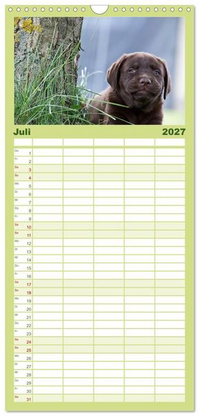Produktbild: Familienplaner 2027 - Labrador Welpen mit 5 Spalten (Wandkalender, 21 x 45 cm) CALVENDO